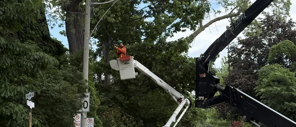 Utility crew working from a bucket truck on overhead lines above a tree-lined street
