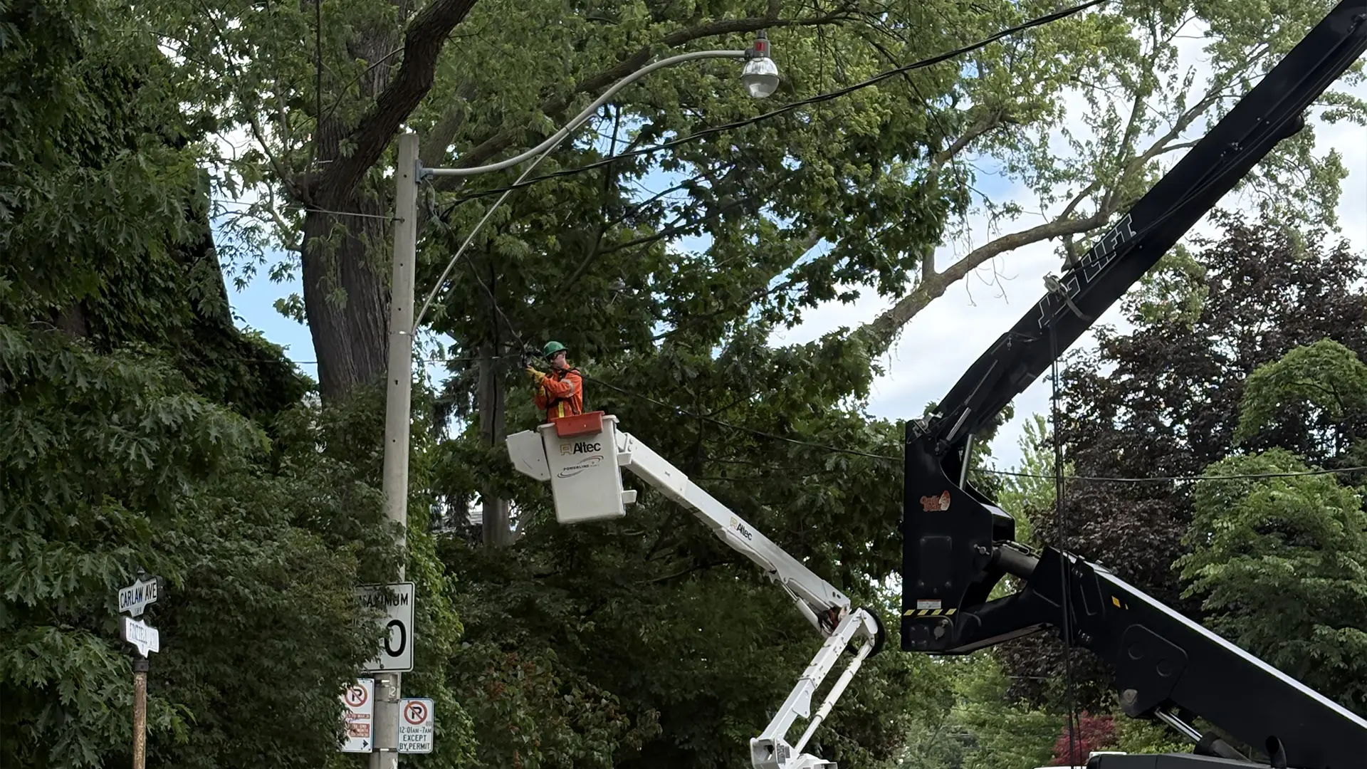 Utility line crew working from a bucket truck on a tree-lined residential street